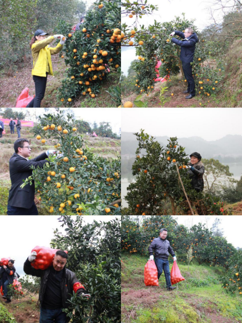 1608170178804680.png image.png