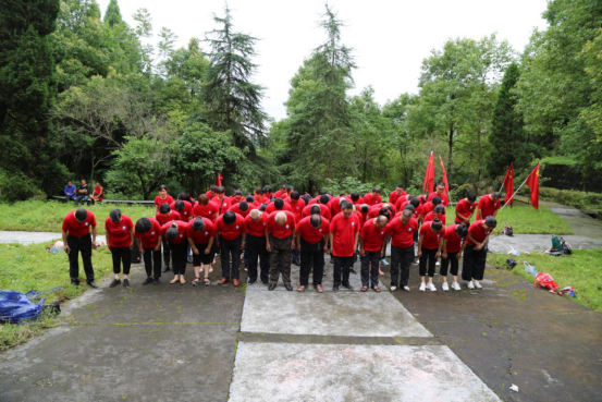 1608170934350077.png image.png